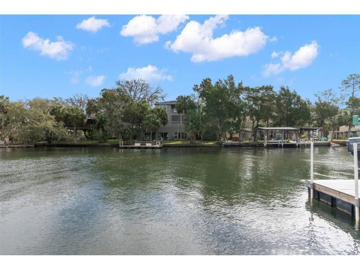 8064 Marys Fish Camp Road Weeki Wachee FL 34607 - MUD RIVER & RIVER HEAD SPRING W7861795 image13