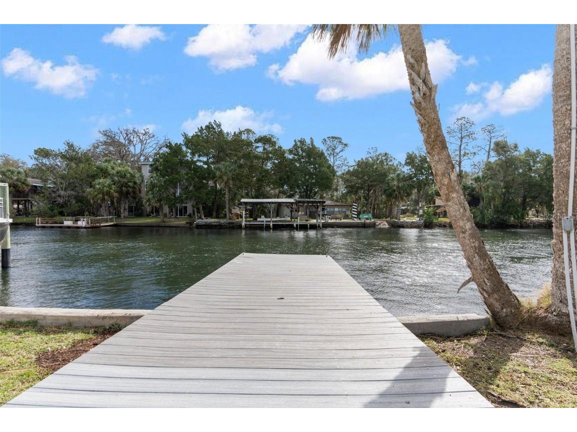 8064 Marys Fish Camp Road Weeki Wachee FL 34607 - MUD RIVER & RIVER HEAD SPRING W7861795 image2