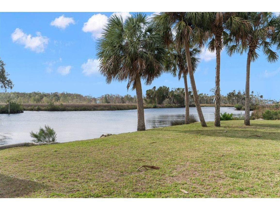 8064 Marys Fish Camp Road Weeki Wachee FL 34607 - MUD RIVER & RIVER HEAD SPRING W7861795 image4