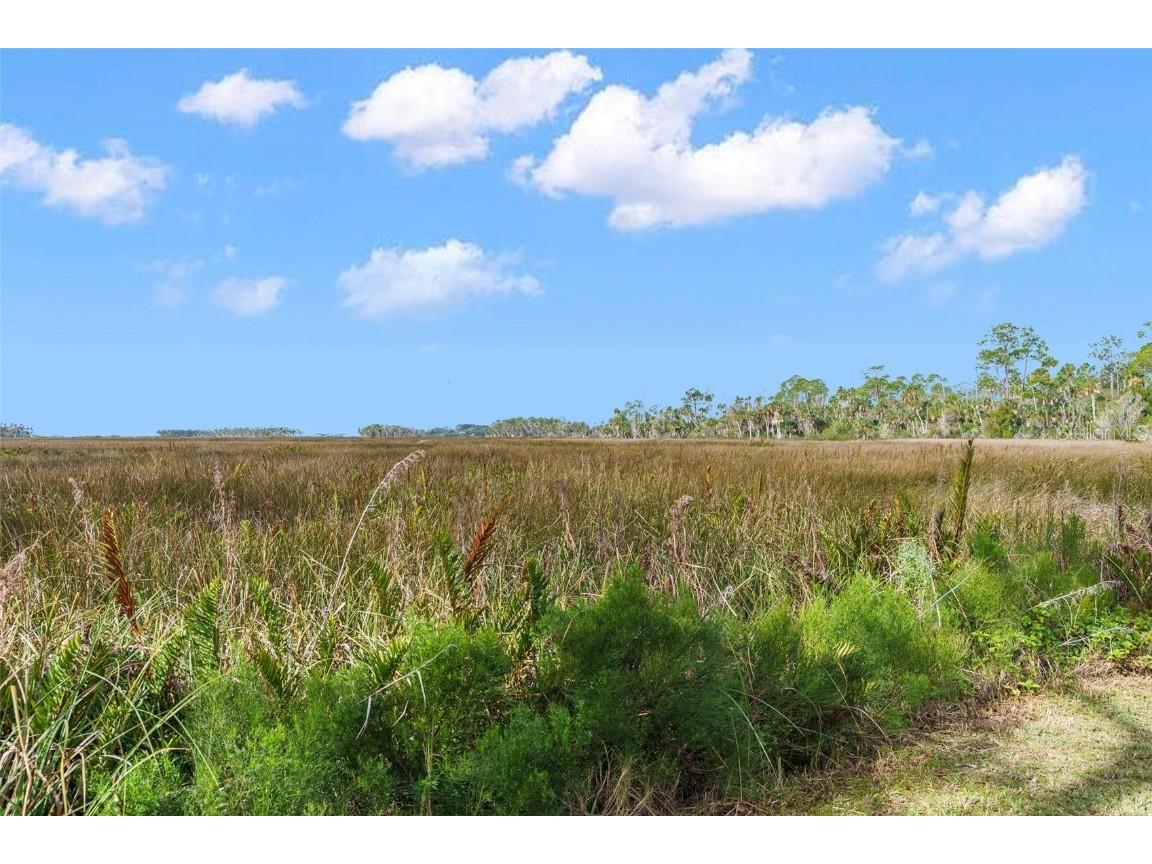 8064 Marys Fish Camp Road Weeki Wachee FL 34607 - MUD RIVER & RIVER HEAD SPRING W7861795 image49