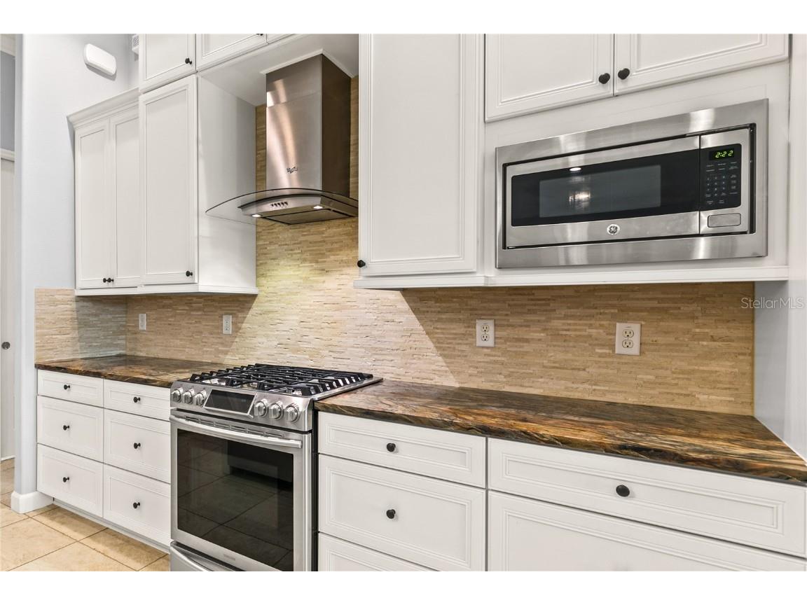 8065 Bridgeport Bay Circle Mount Dora FL 32757 G5103865 image13