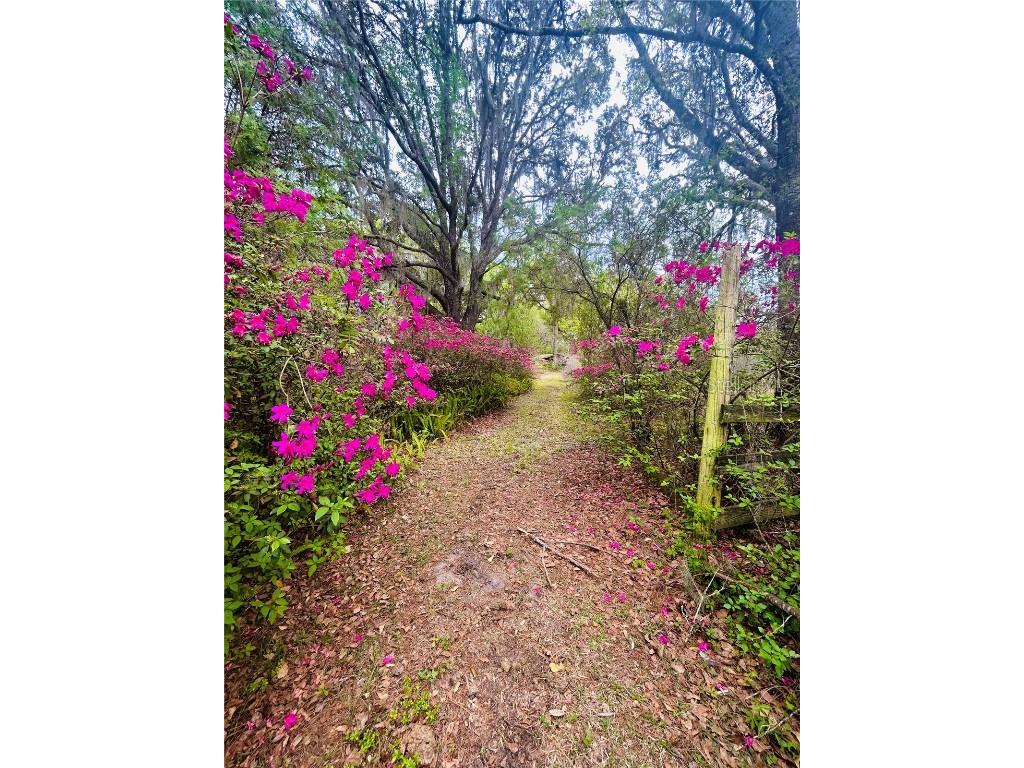 8065 NW 131st Street Road Reddick FL 32686 R4906807 image1