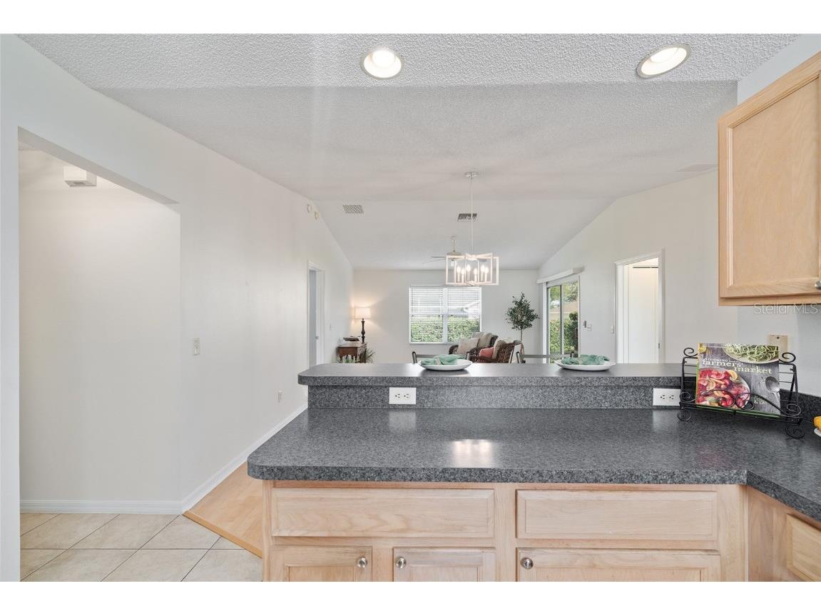 8065 SE 175th Columbia Place The Villages FL 32162 G5103718 image11