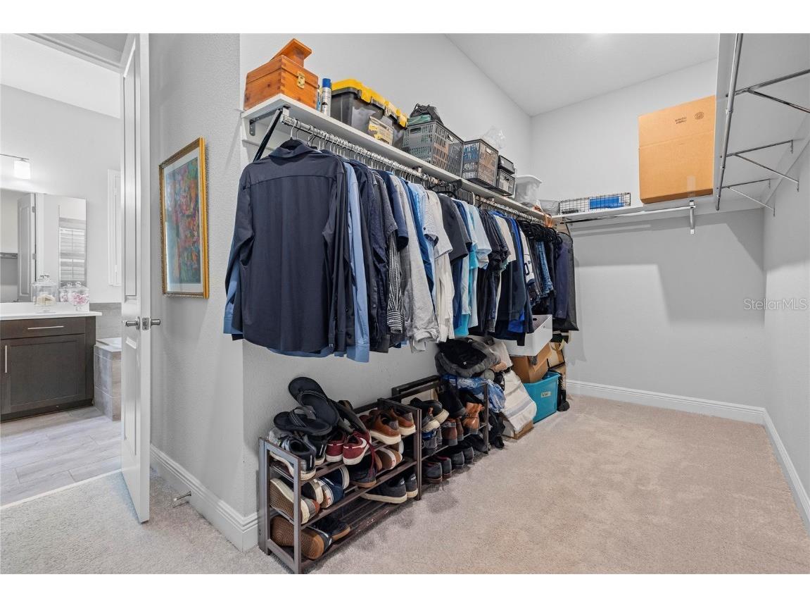 8066 Ludington Circle Orlando FL 32836 O6341878 image25