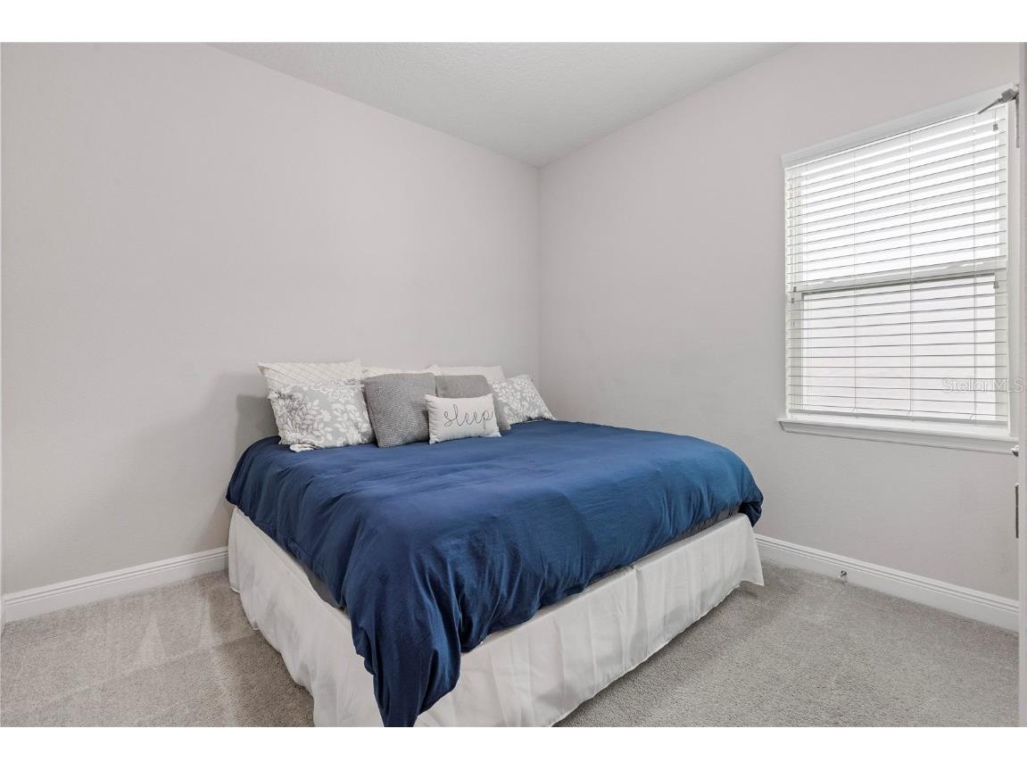 8066 Ludington Circle Orlando FL 32836 O6341878 image27