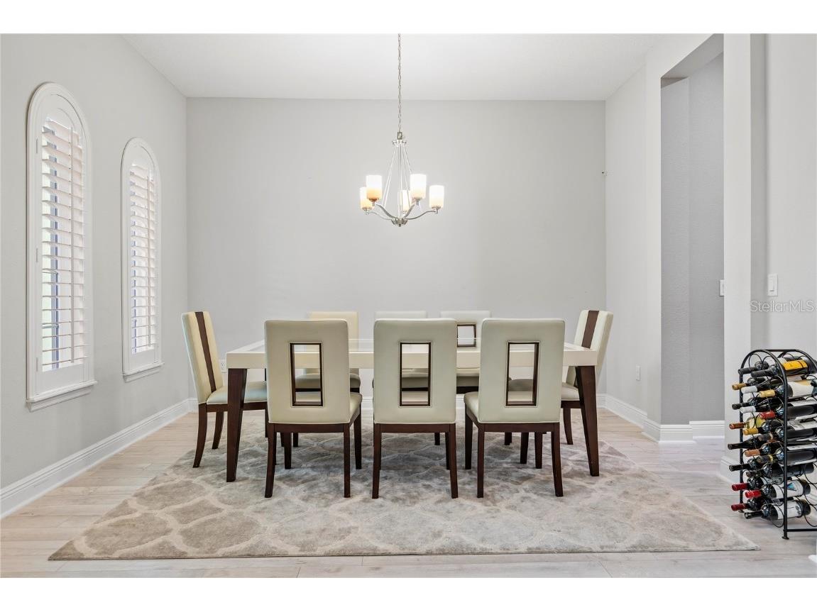 8066 Ludington Circle Orlando FL 32836 O6341878 image6