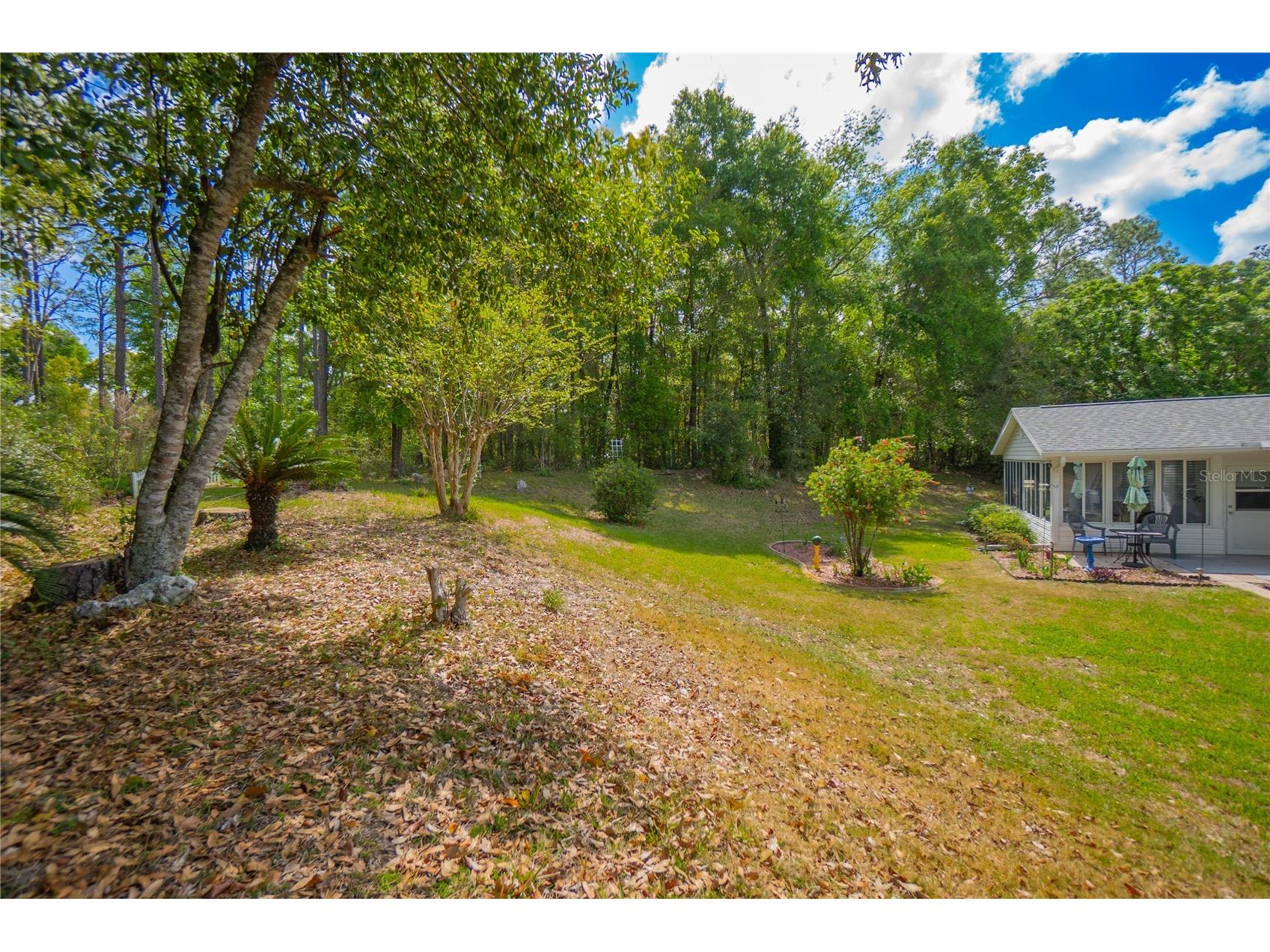 8067 SW 116th Loop Ocala FL 34481 OM723382 image24