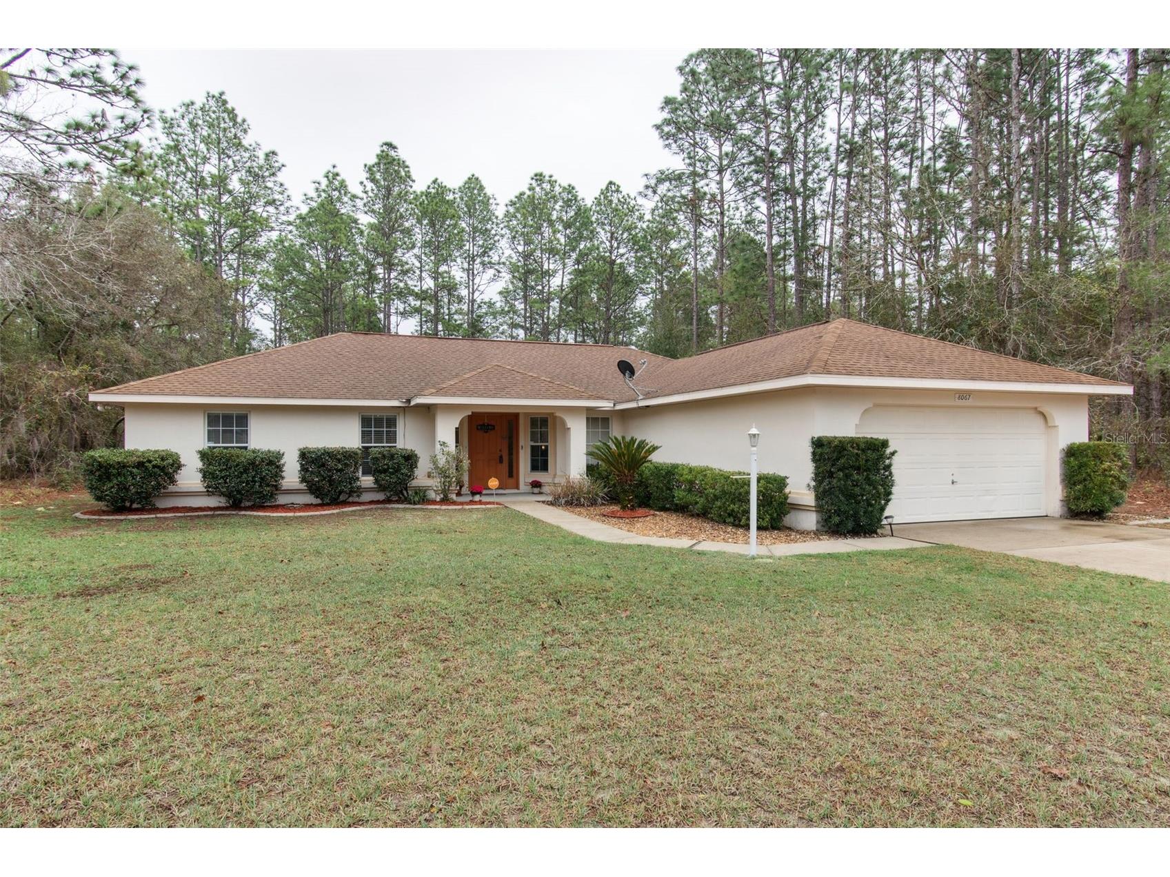 8067 SW 135th Loop Ocala FL 34473 OM719526 image1