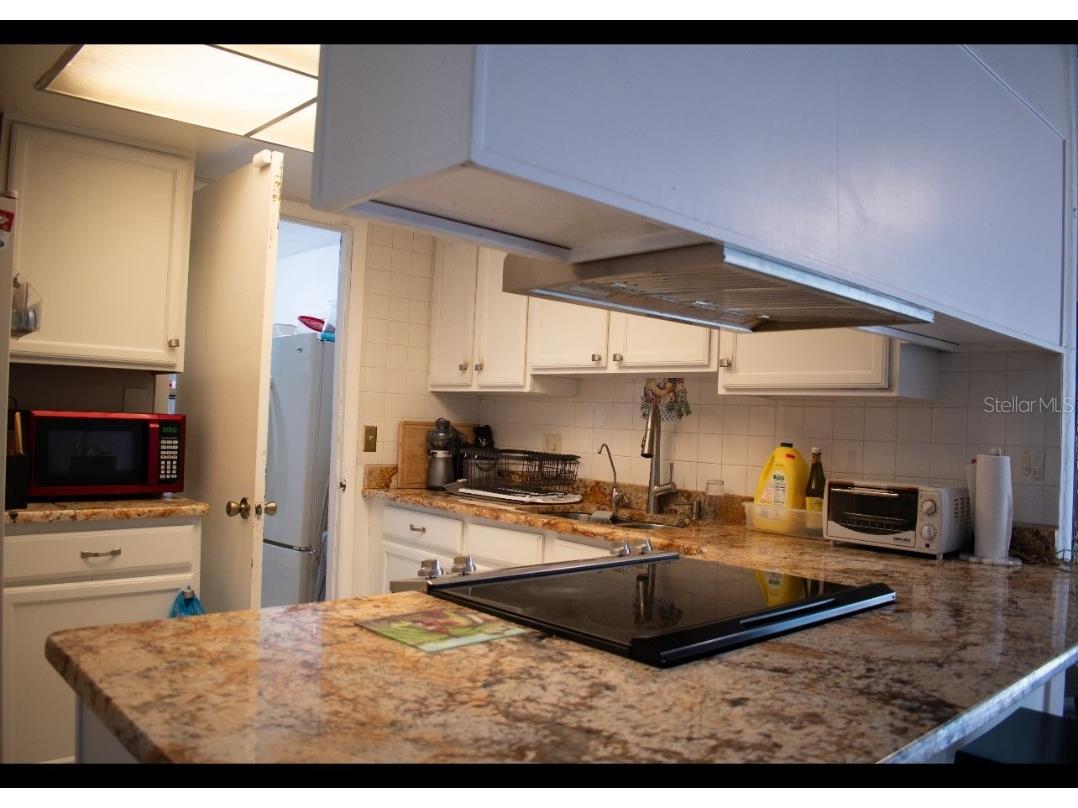 8068 Elsee Drive Orlando FL 32822 S5130790 image11