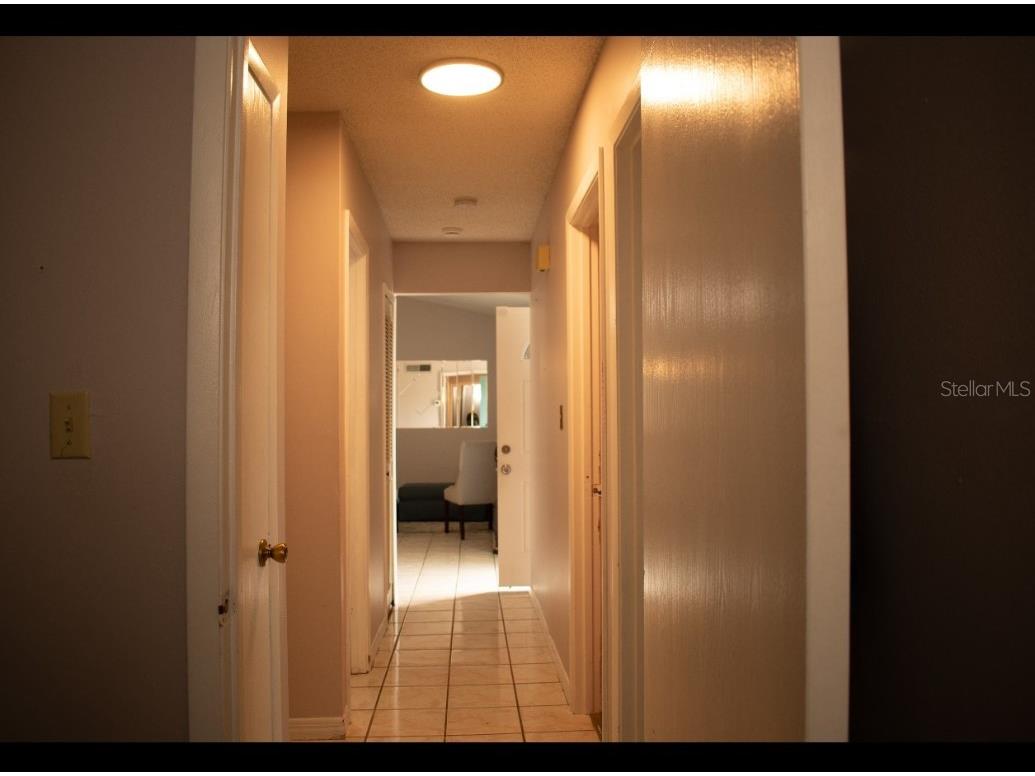 8068 Elsee Drive Orlando FL 32822 S5130790 image12