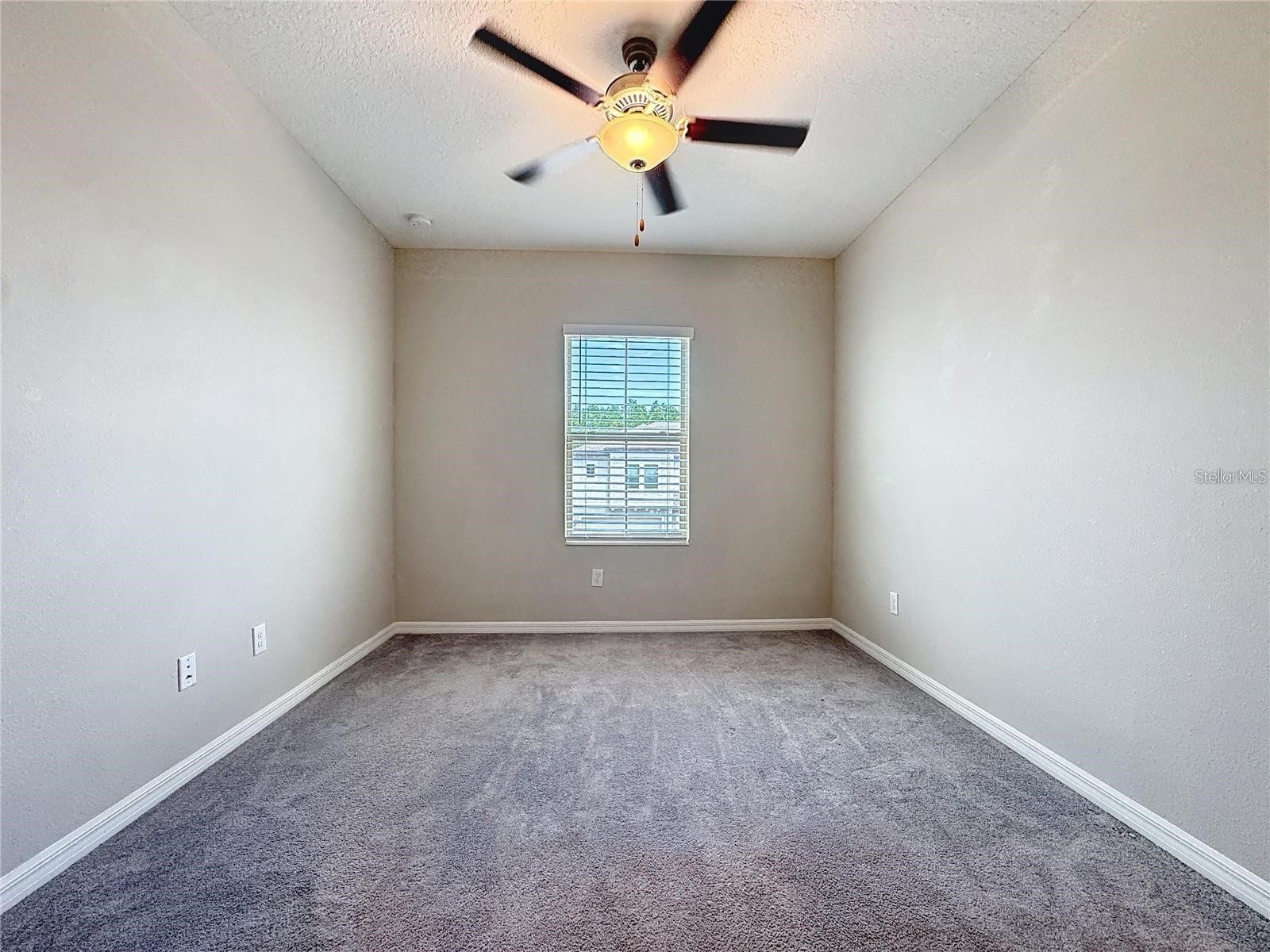 8069 Rolling Shell Trail Wesley Chapel FL 33545 TB8509542 image12