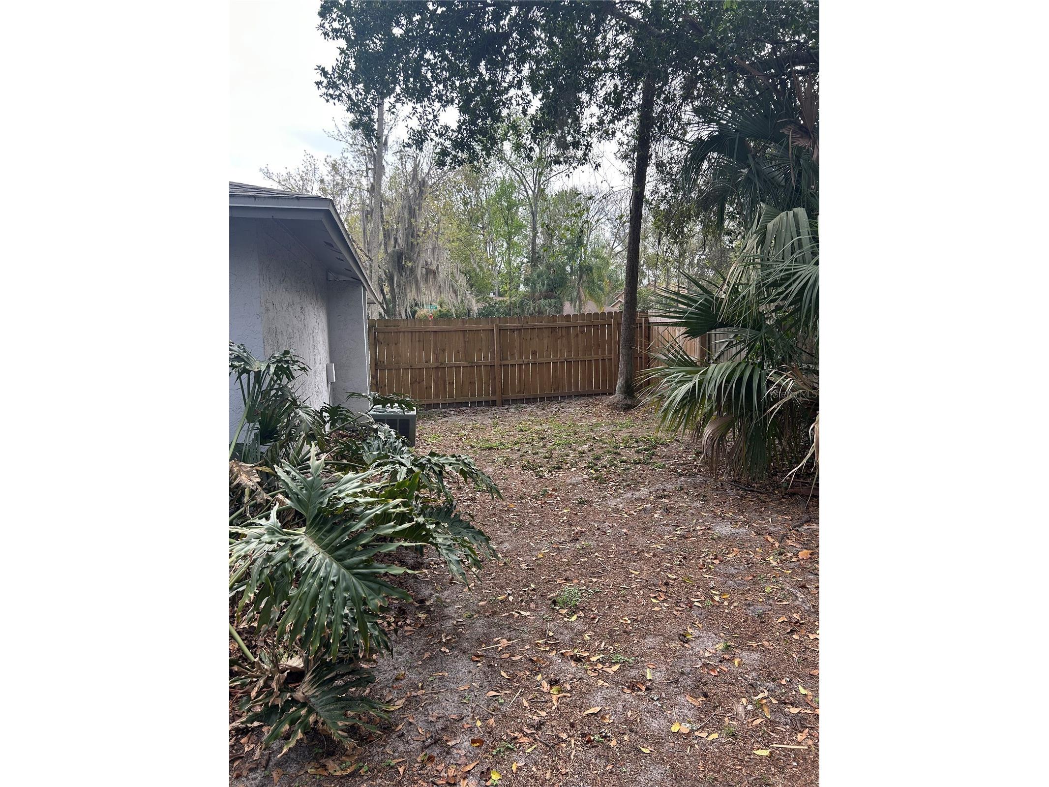 807 Buckie Drive Winter Springs FL 32708 O6386108 image20