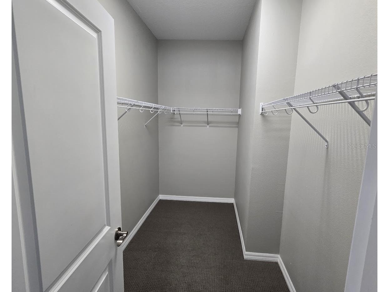 807 Callista Cay Loop Tarpon Springs FL 34689 TB8451740 image24