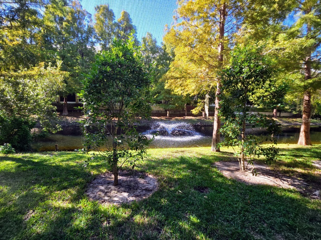 807 Callista Cay Loop Tarpon Springs FL 34689 TB8451740 image31