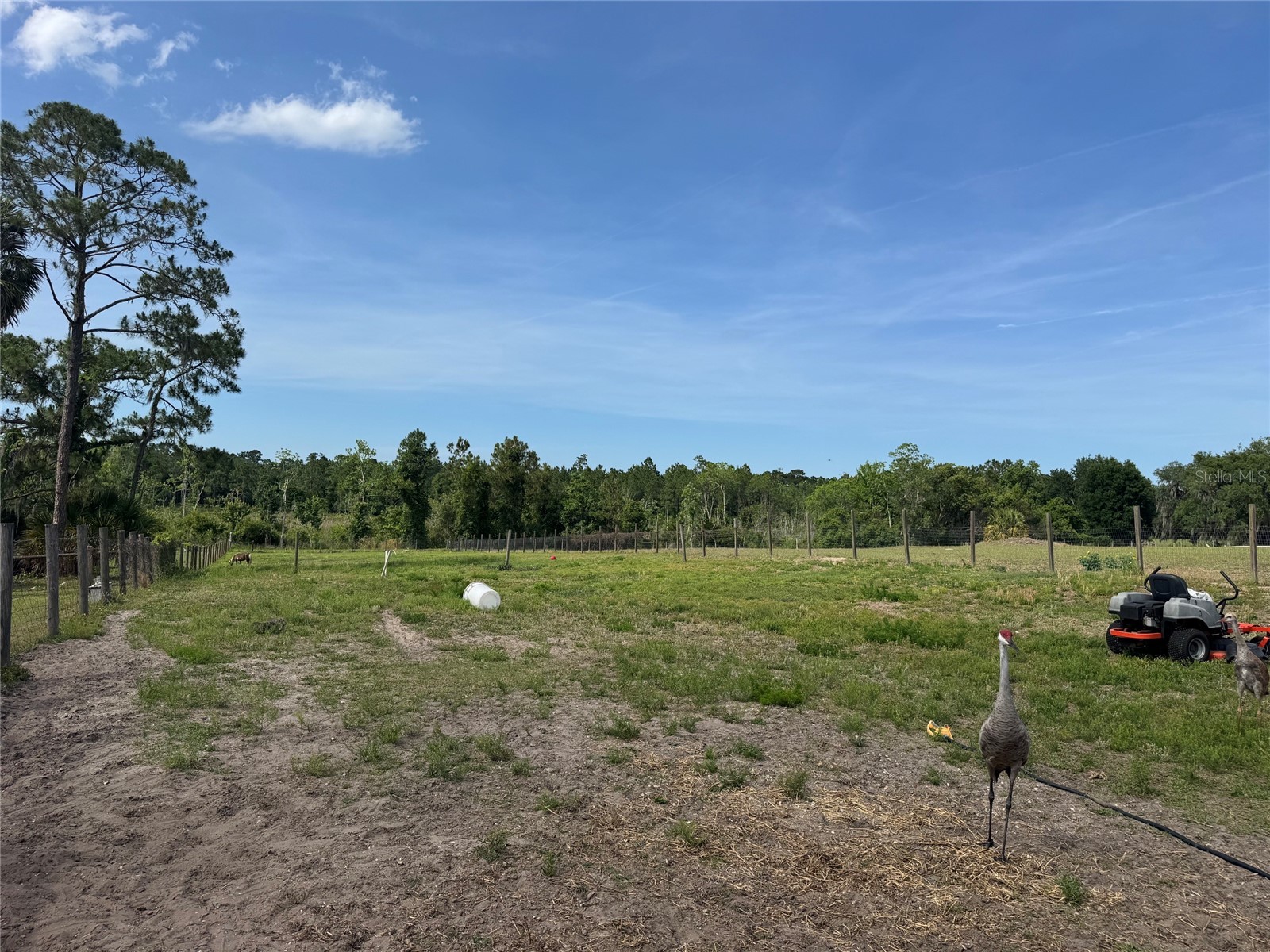 807 Campbell Lane De Leon Springs FL 32130 V4948819 image8
