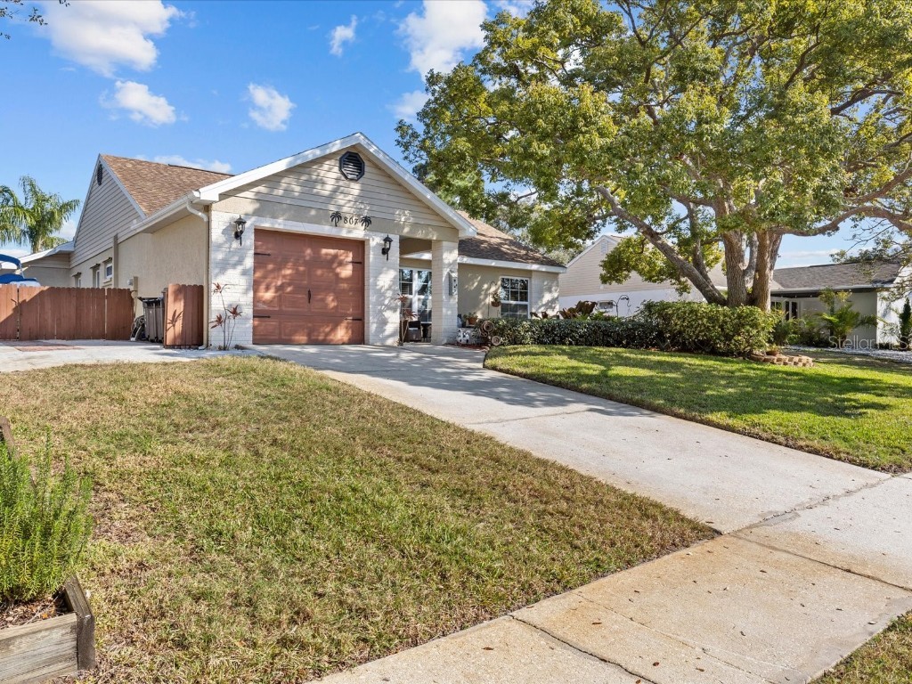 807 Cavemill Way Tarpon Springs FL 34689 TB8345024 image1