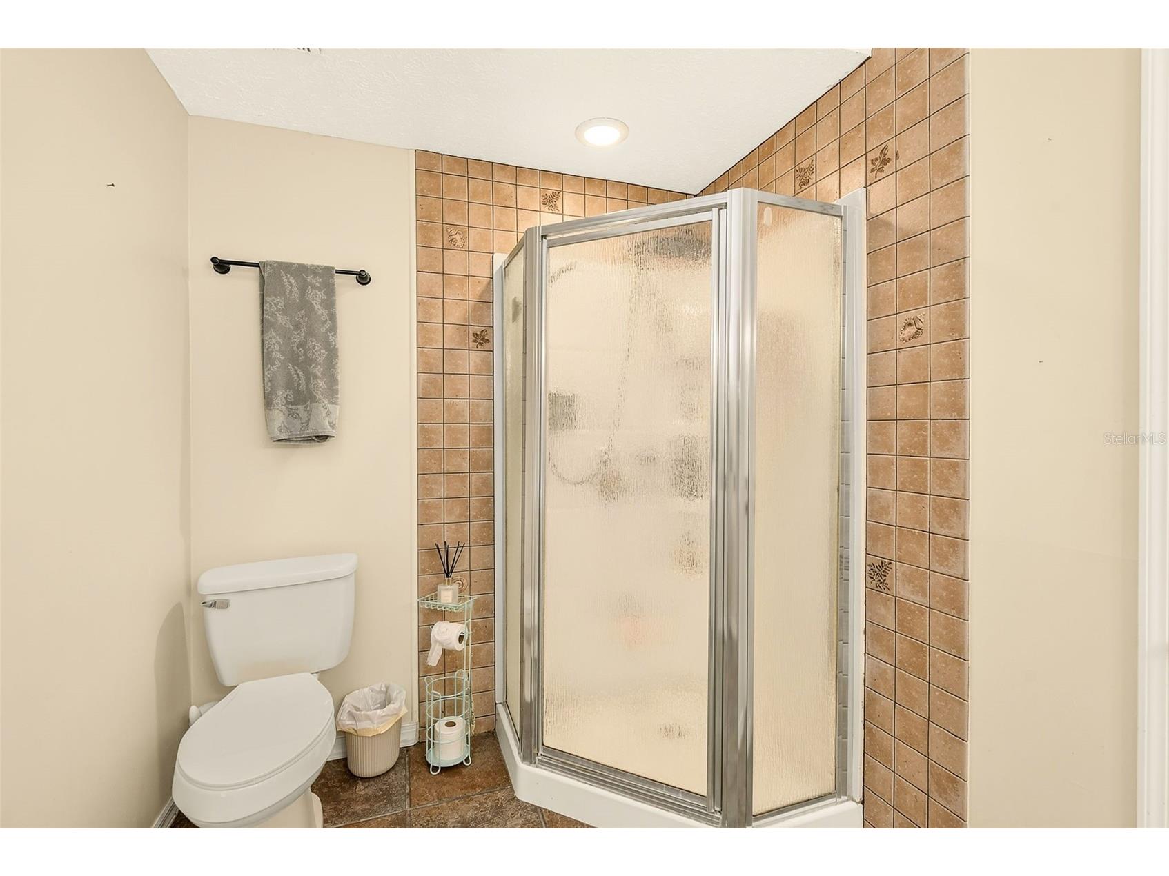 807 Centerbrook Drive Brandon FL 33511 TB8527654 image29