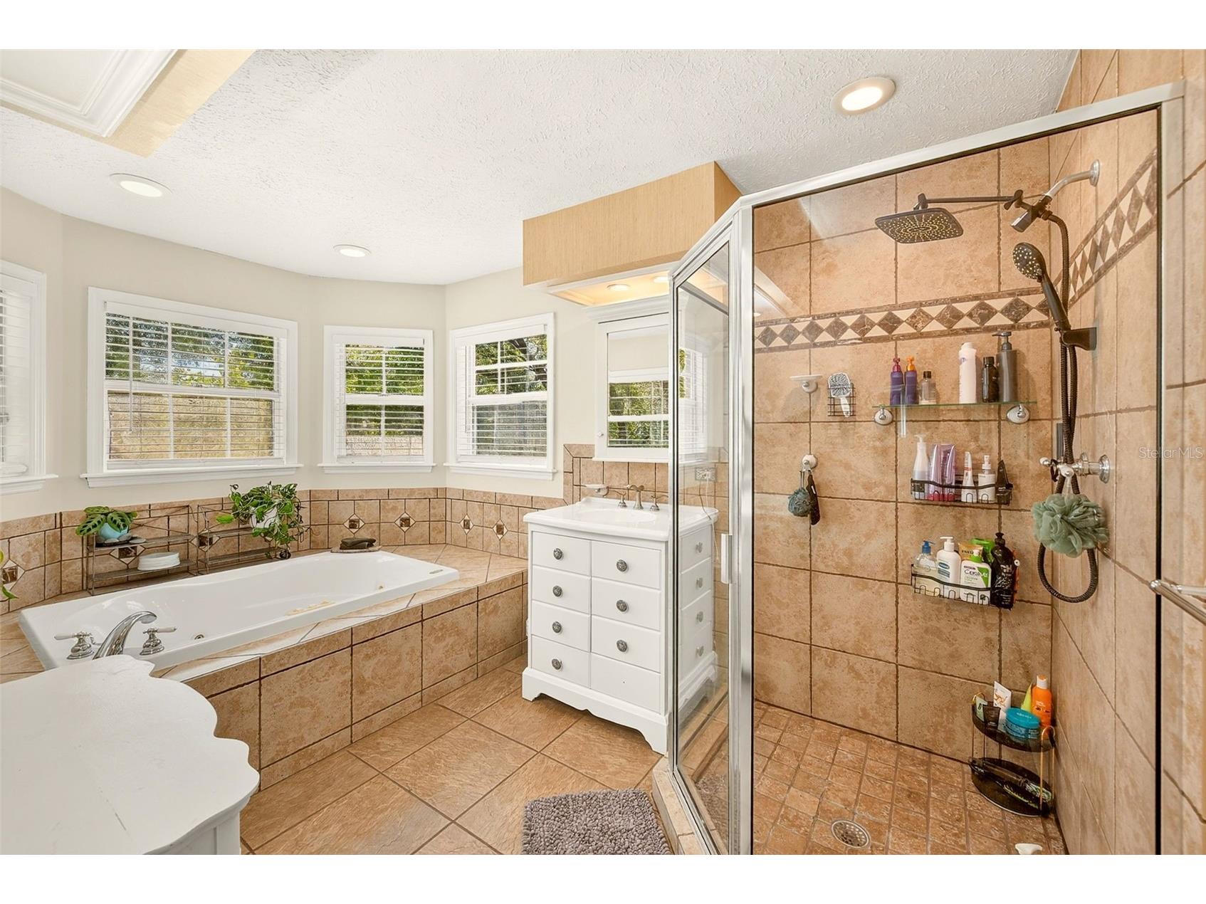 807 Centerbrook Drive Brandon FL 33511 TB8527654 image35