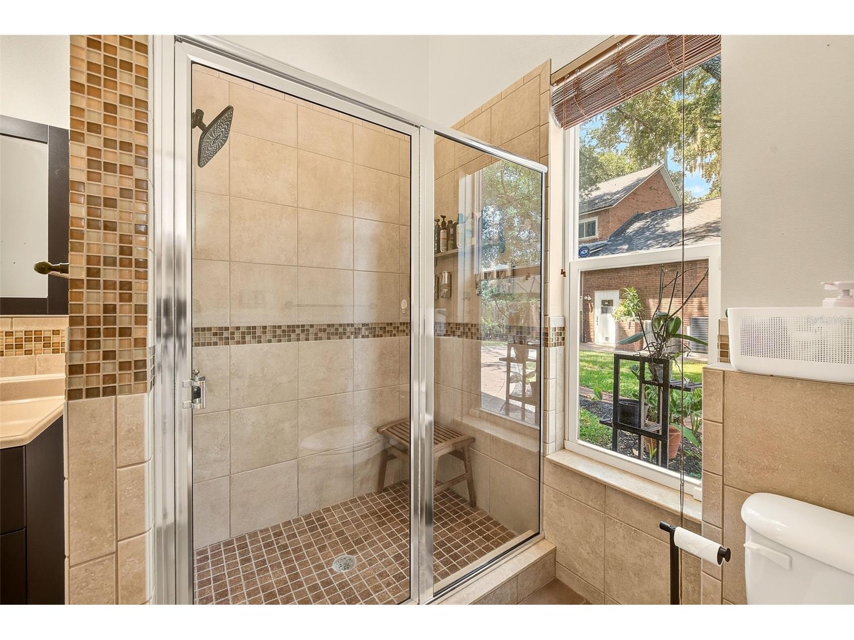 807 Centerbrook Drive Brandon FL 33511 TB8527654 image61