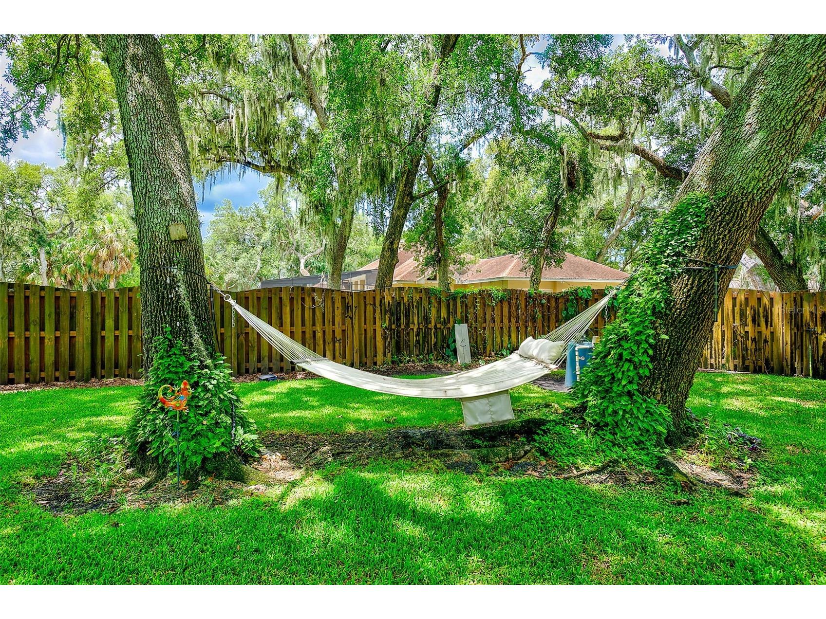 807 Centerbrook Drive Brandon FL 33511 TB8527654 image78