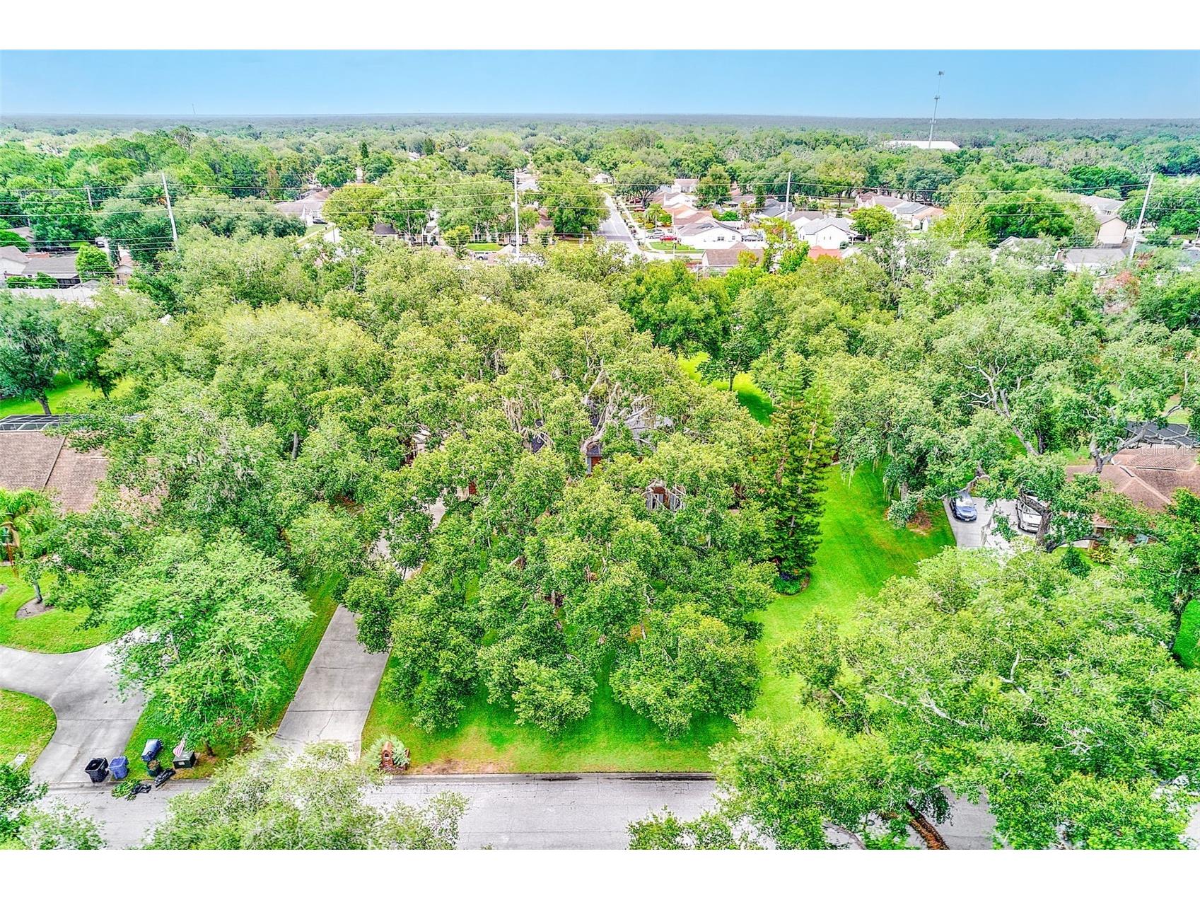807 Centerbrook Drive Brandon FL 33511 TB8527654 image92