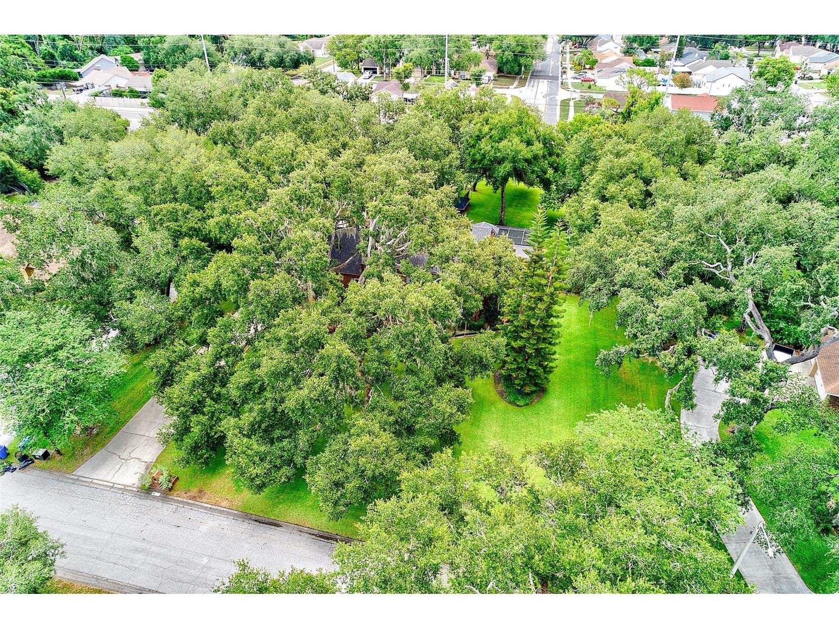 807 Centerbrook Drive Brandon FL 33511 TB8527654 image93