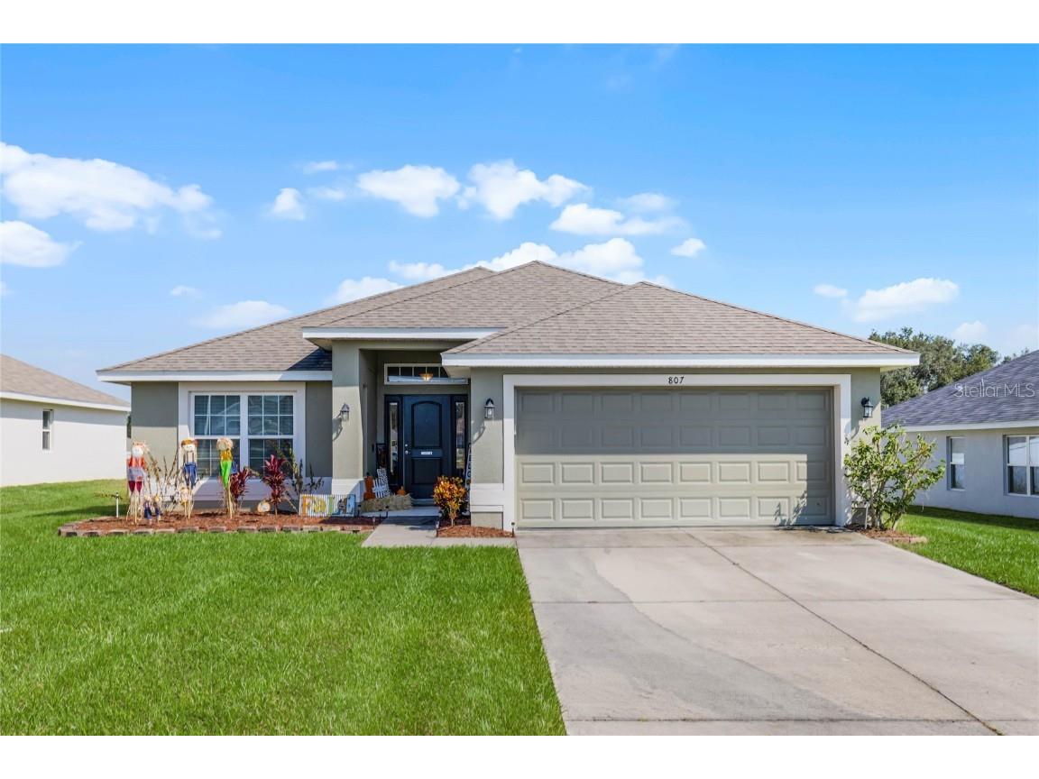 807 Chestnut Drive Fruitland Park FL 34731 O6249740 image1