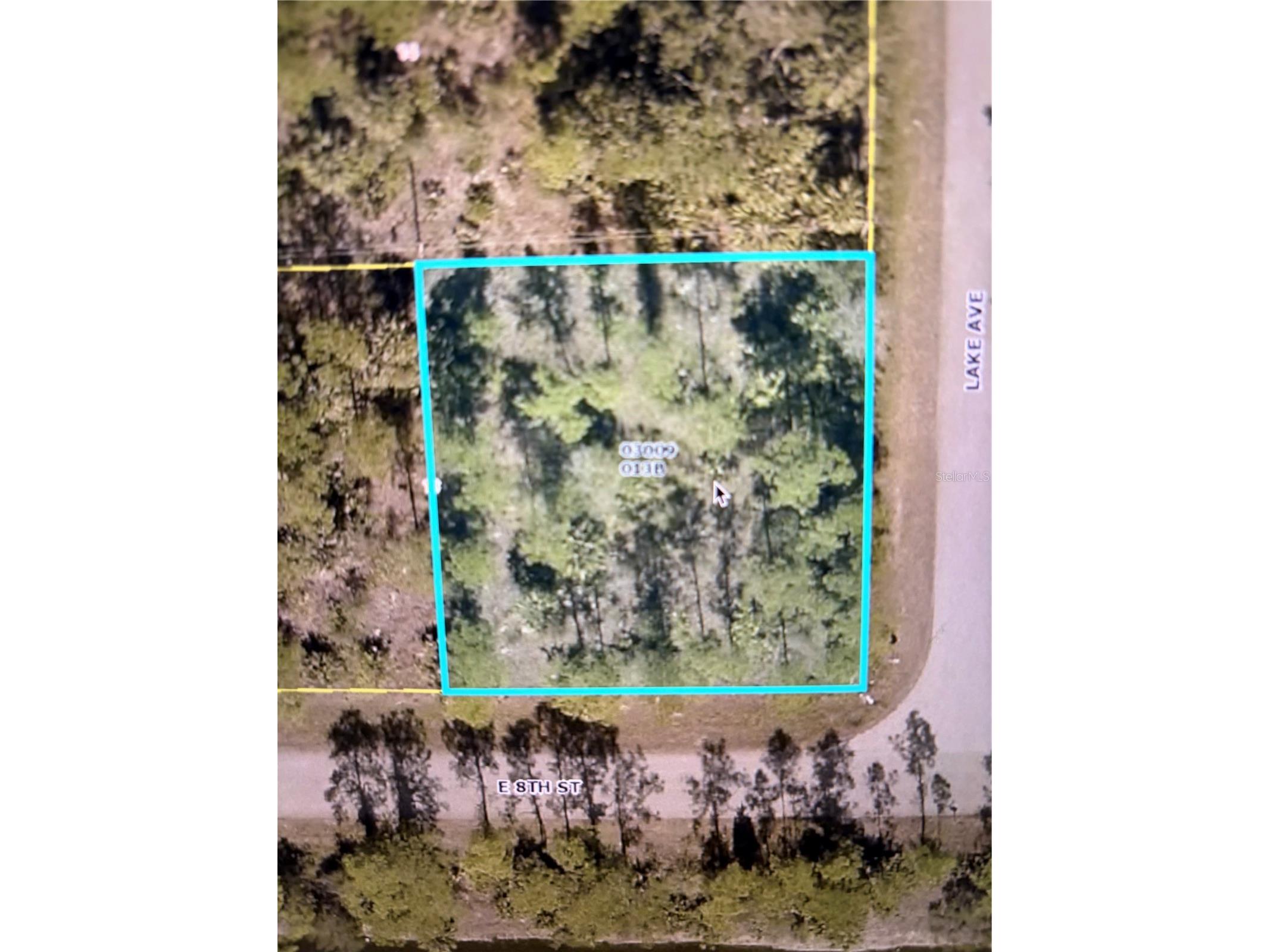 807 E 8th Street Lehigh Acres FL 33972 O6408591 image1