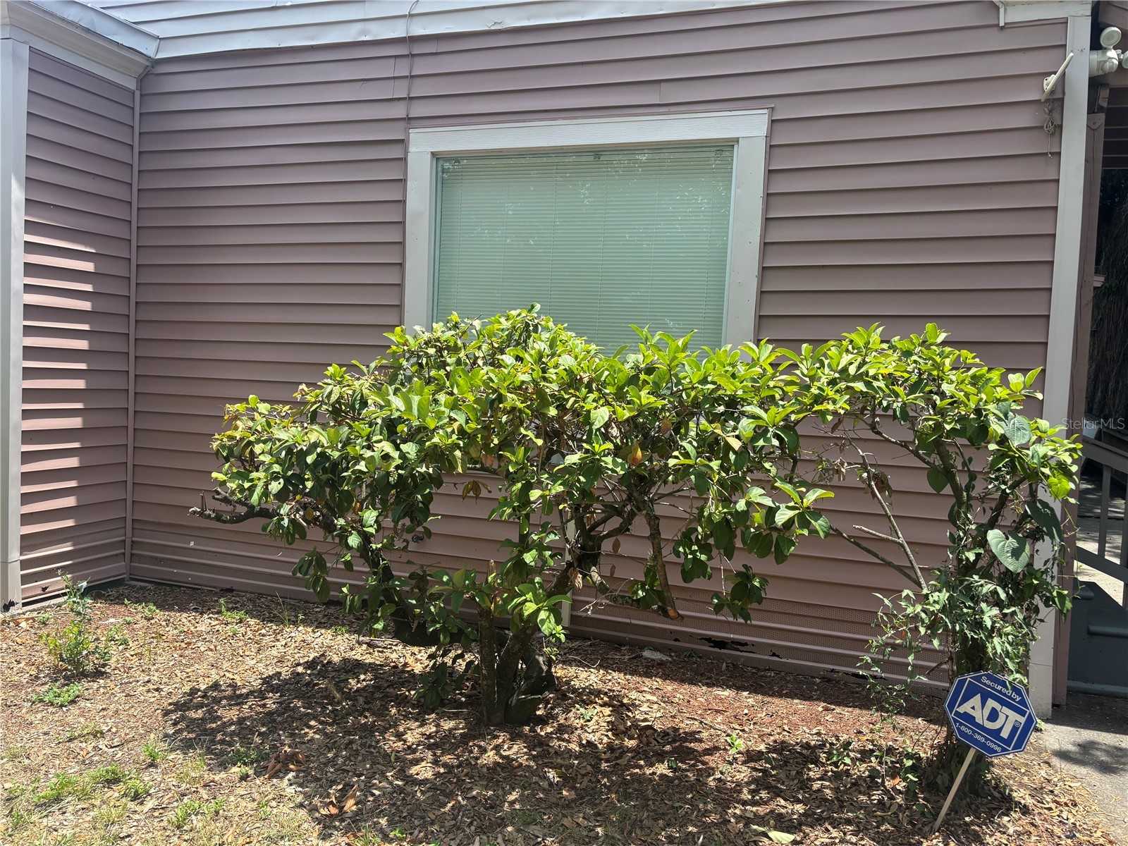 807 E Osborne Avenue Tampa FL 33603 TB8524217 image1