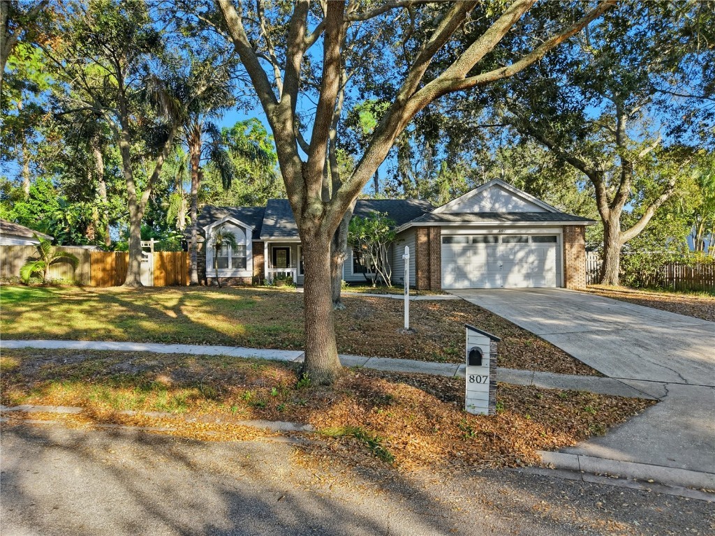 807 Edgehill Drive Palm Harbor FL 34684 TB8446799 image1