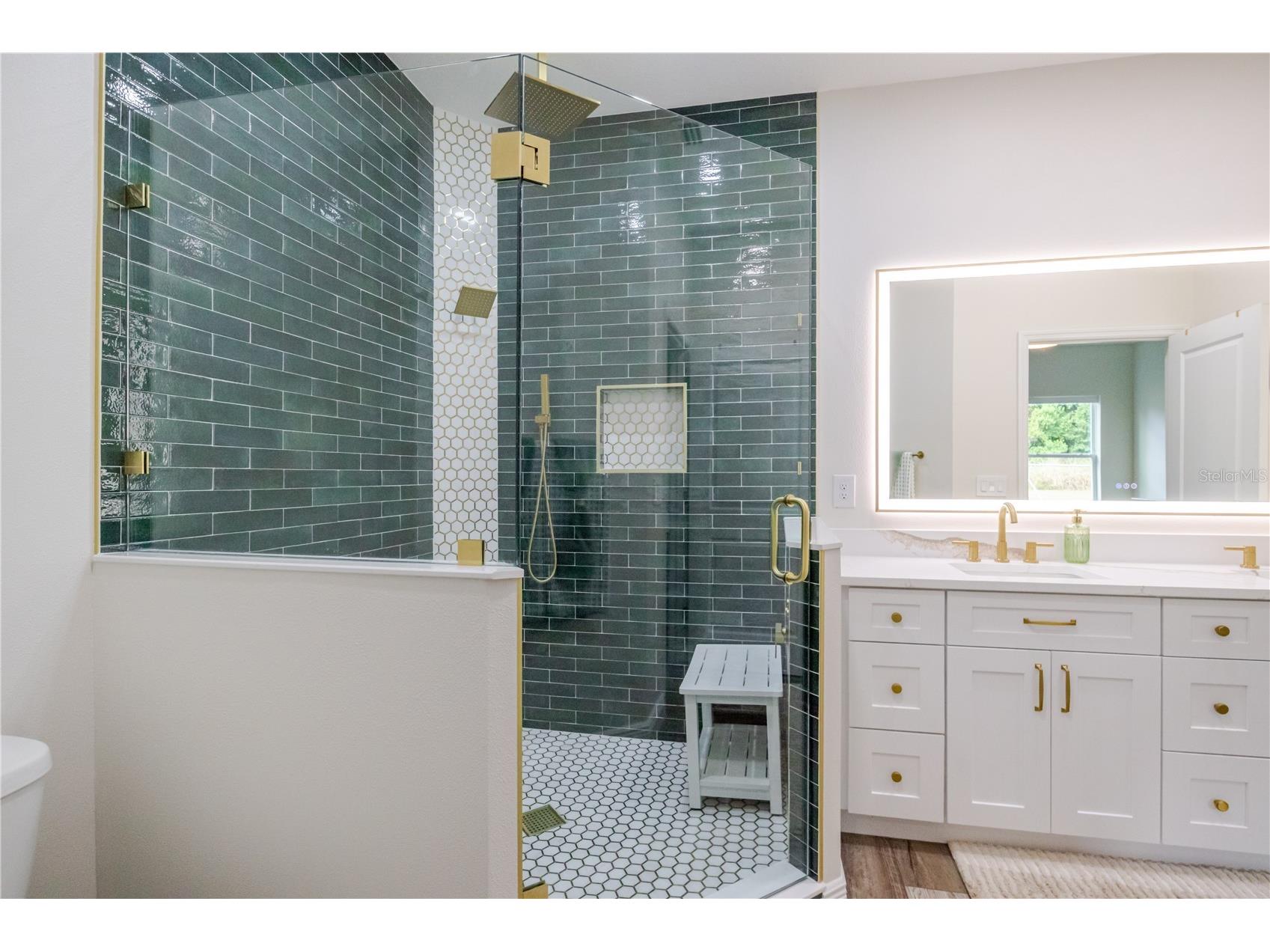 807 Garden Oaks Square Seffner FL 33584 TB8492826 image19