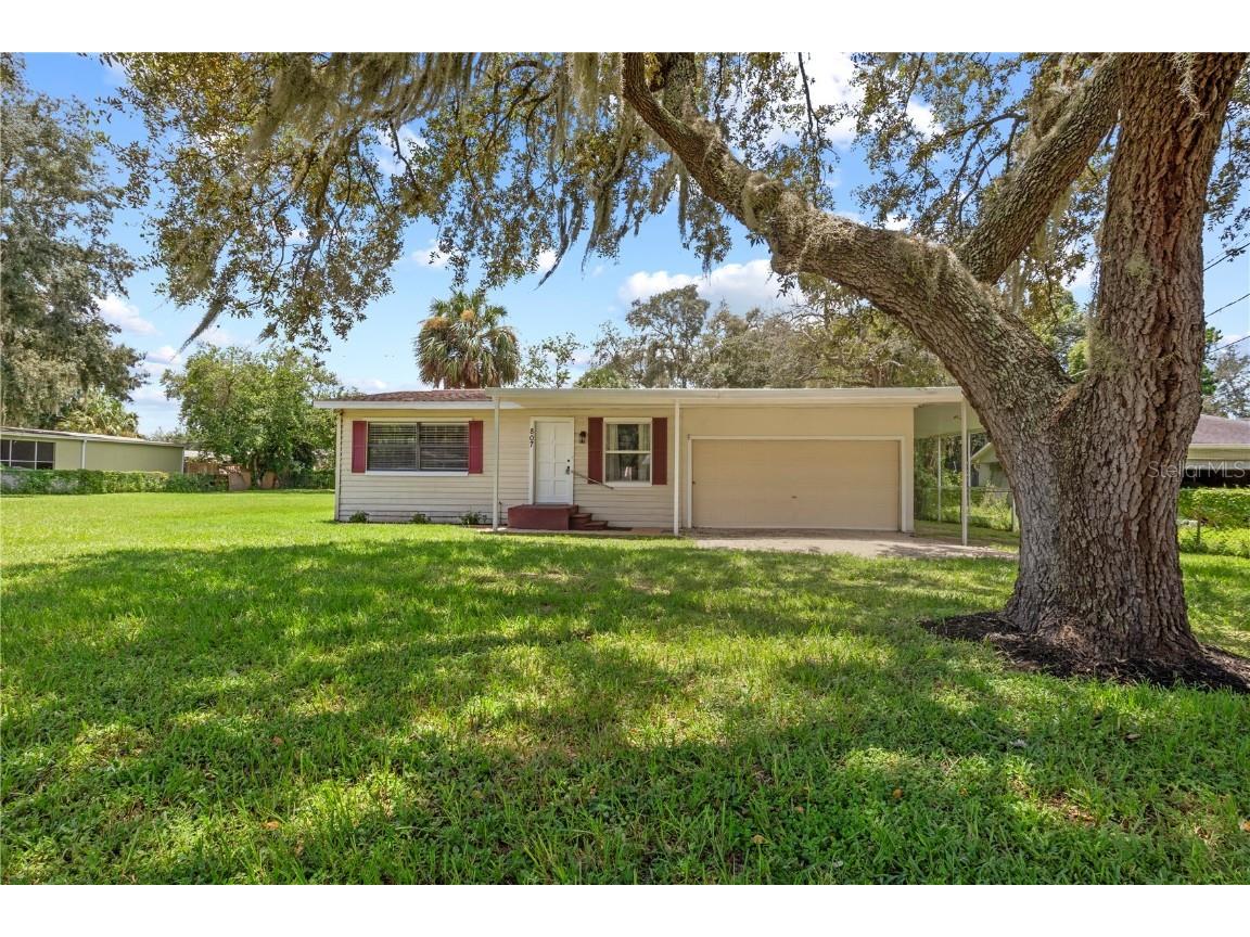 807 Louise Street Brandon FL 33511 T3548057 image1