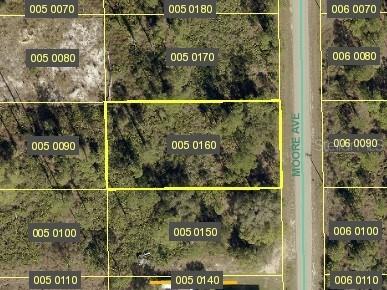 807 Moore Avenue Lehigh Acres FL 33972 A4684582 image1