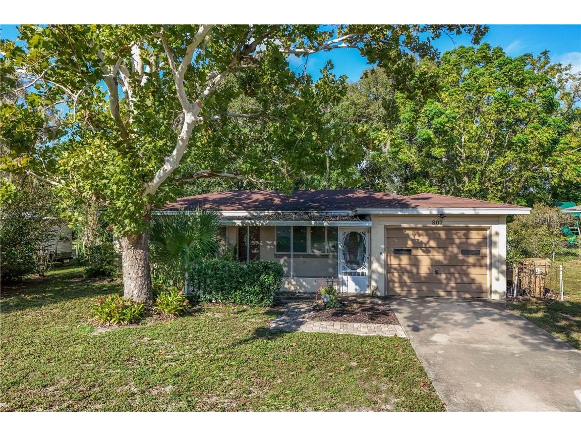 807 Norman Drive Mount Dora FL 32757 O6247261 image1