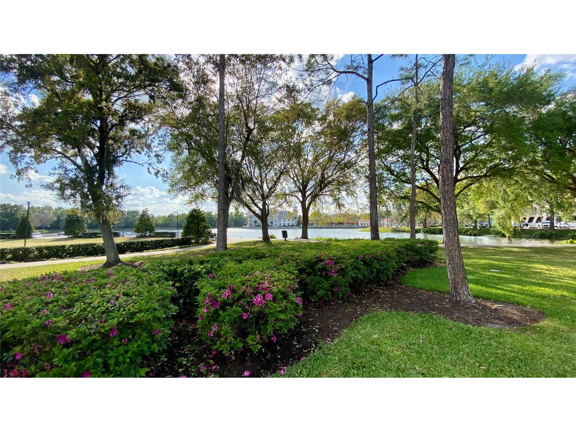 807 Oak Shadows Road Celebration FL 34747 O6421489 image81