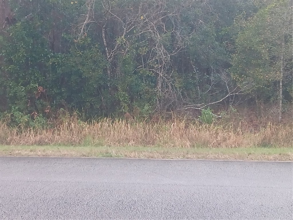 807 Paradise Lakes Avenue Georgetown FL 32139 NS1080122 image1