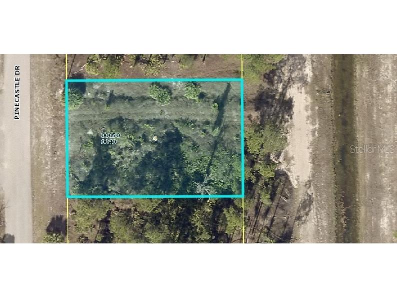 807 Pinecastle Drive Lehigh Acres FL 33974 C7471349 image1