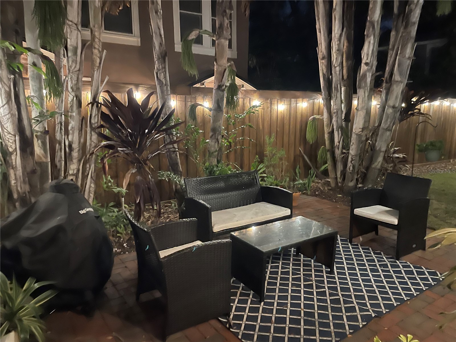 807 S Fremont Avenue Tampa FL 33606 TB8459650 image31