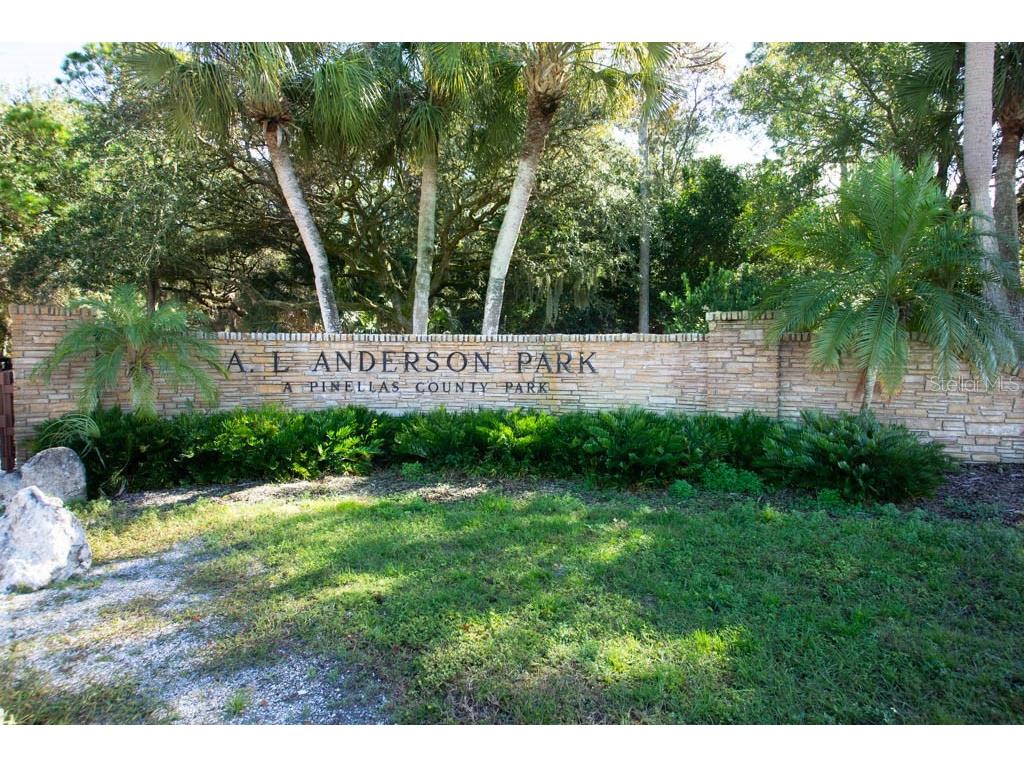 807 Saint Charles Drive Tarpon Springs FL 34689 - SALT LAKE TB8355928 image35
