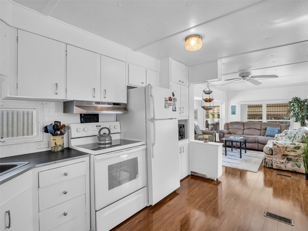 807 Saint Charles Drive Tarpon Springs FL 34689 - SALT LAKE TB8355928 image8