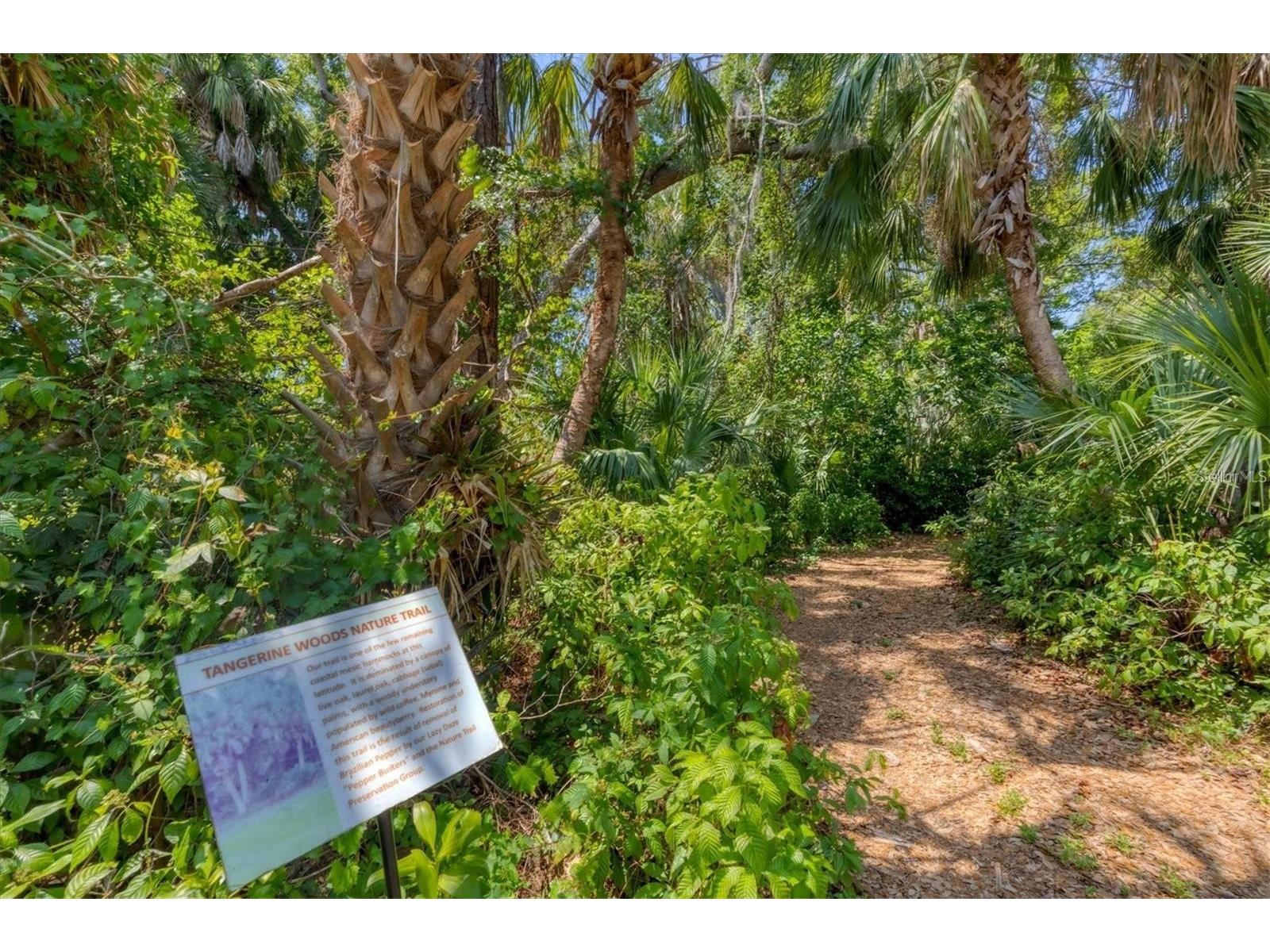 807 Seabrooke Drive Englewood FL 34223 D6147459 image41