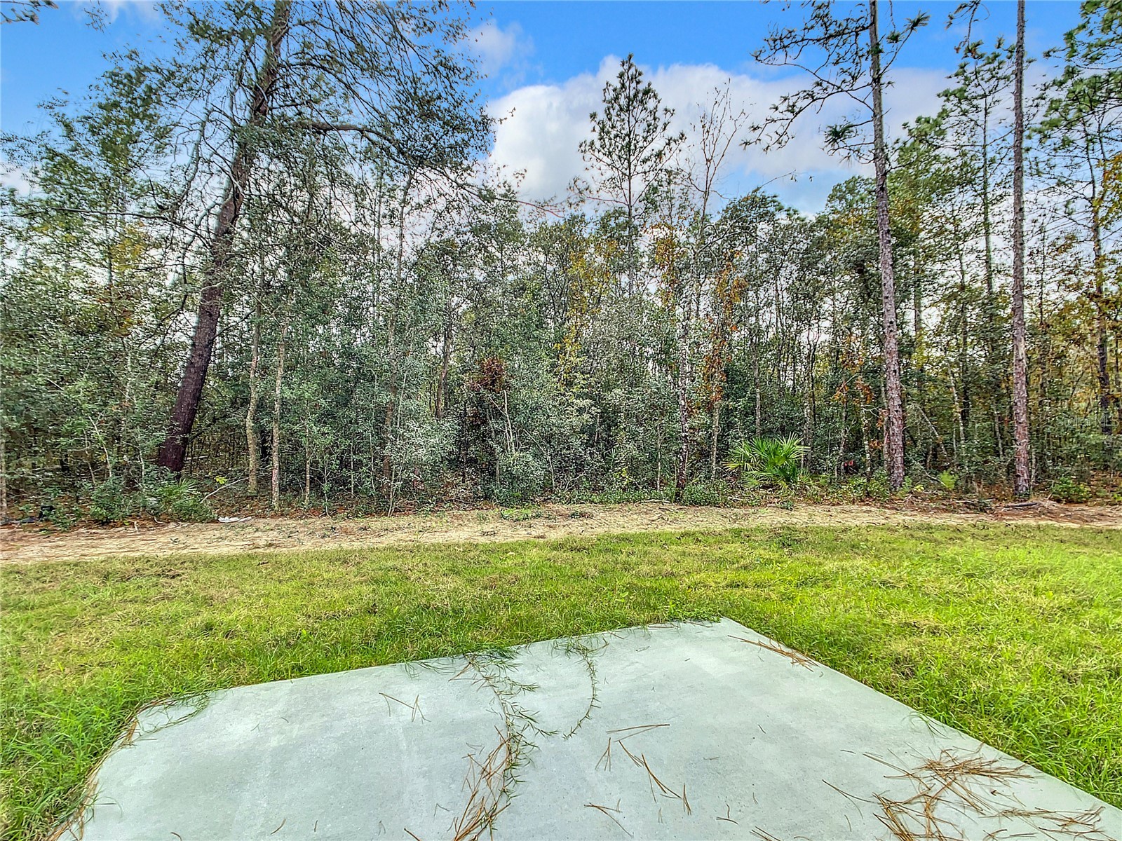 8070 SW 131st Lane Ocala FL 34473 O6393656 image33