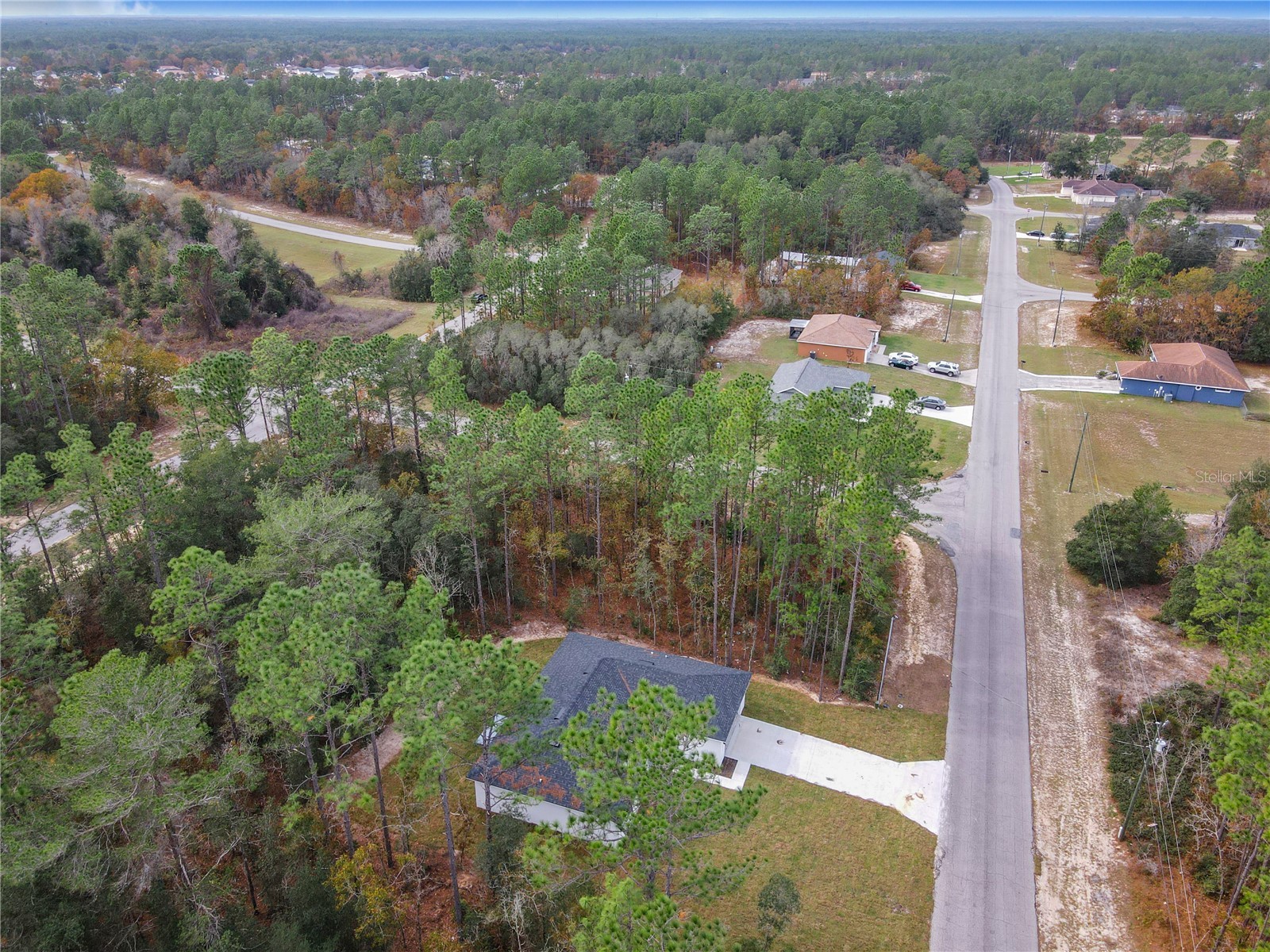 8070 SW 131st Lane Ocala FL 34473 O6393656 image41