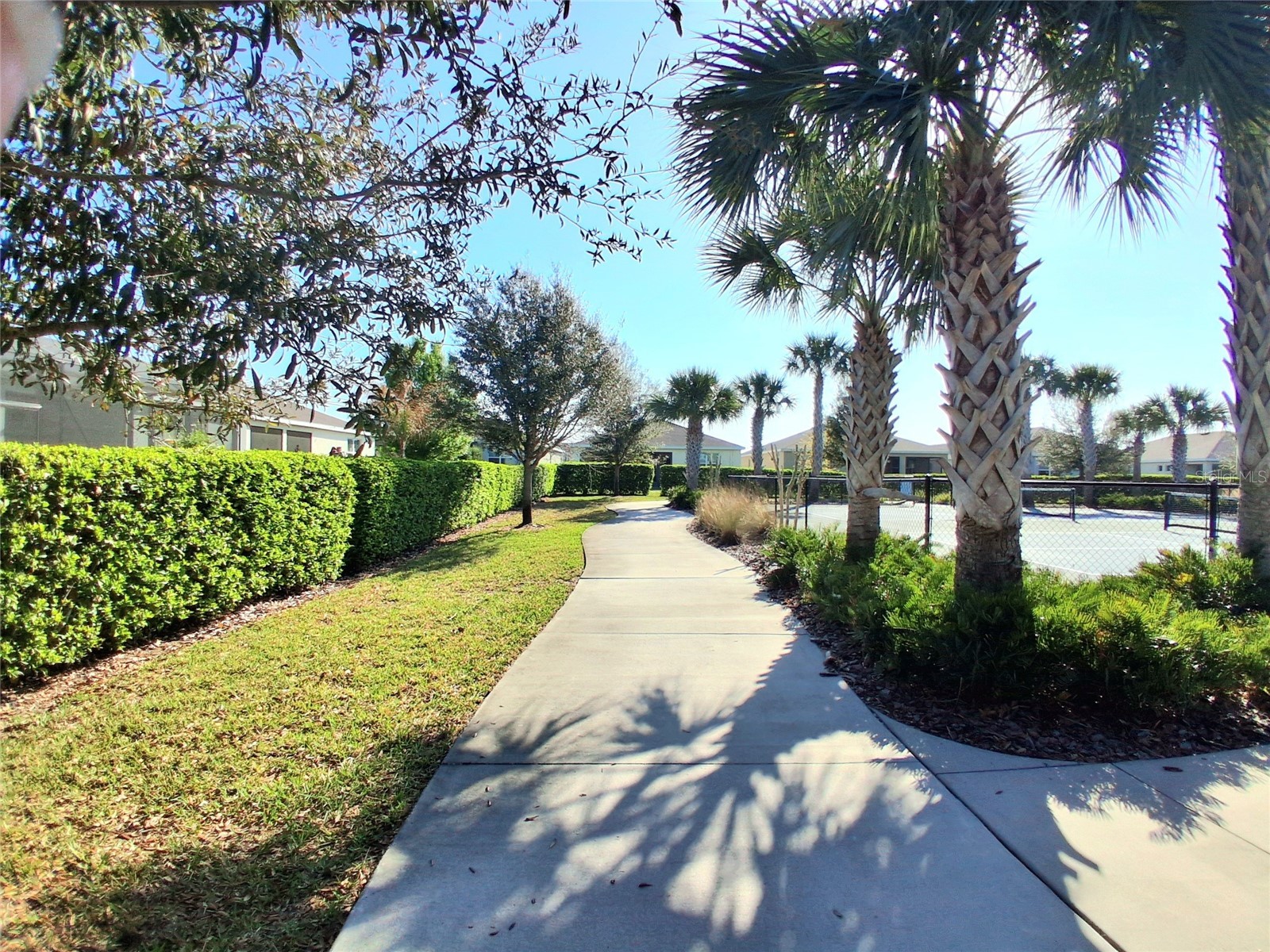 8072 Penrose Place Wildwood FL 34785 A4693090 image24