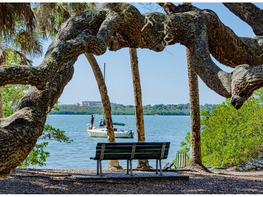 8074 37th Avenue N Saint Petersburg FL 33710 TB8493659 image36