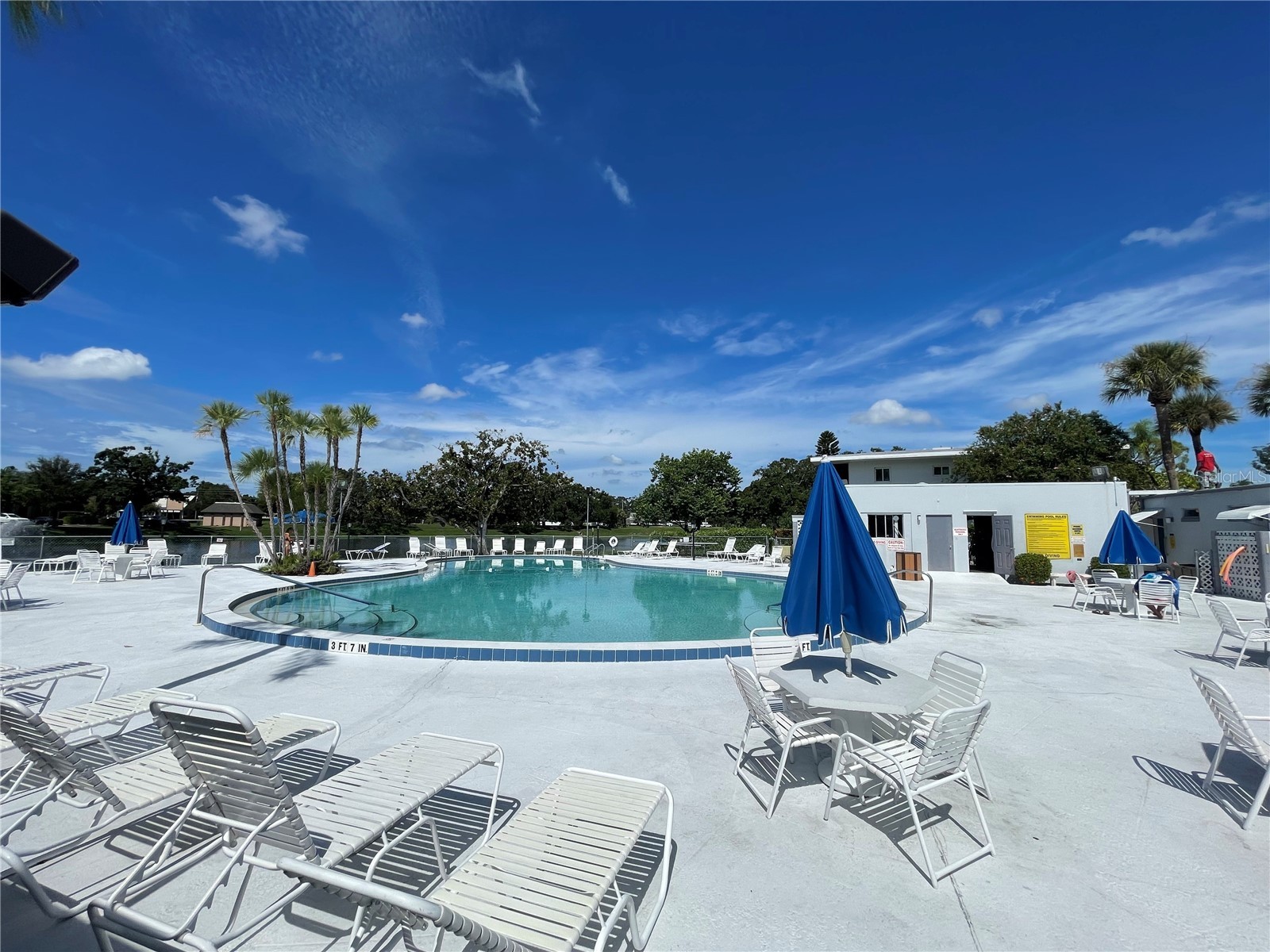 8075 112th Street #203 Seminole FL 33772 TB8511468 image8