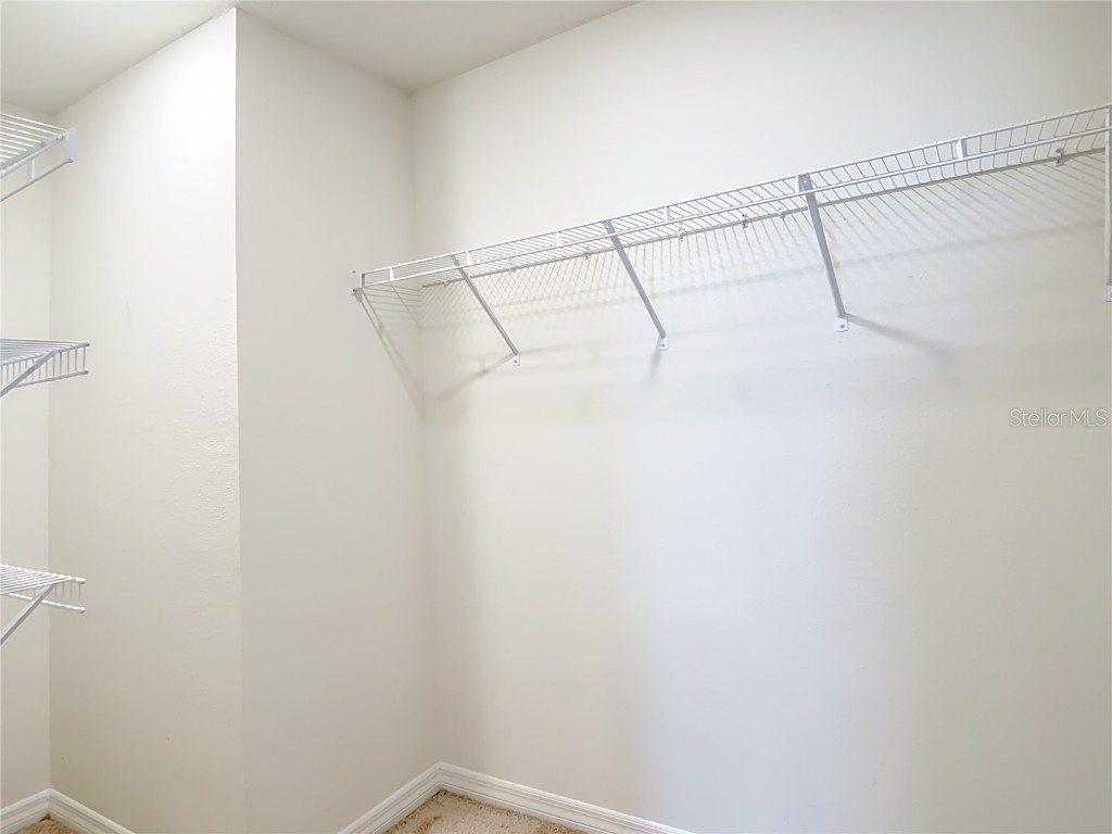 8075 Broad Pointe Drive Zephyrhills FL 33540 TB8440523 image54