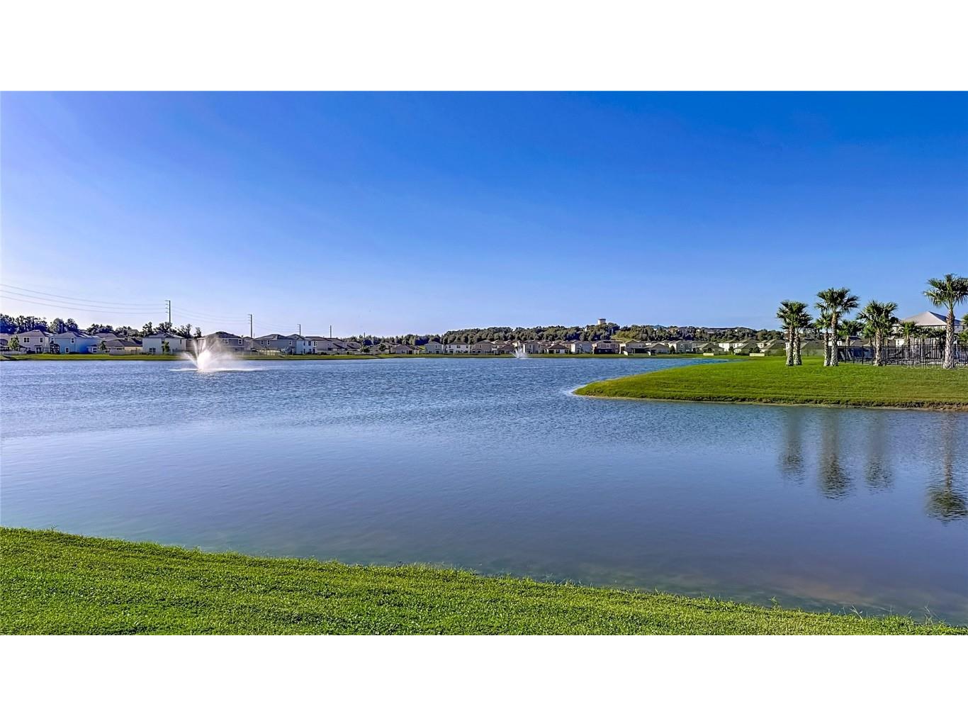 8075 Broad Pointe Drive Zephyrhills FL 33540 TB8440523 image81