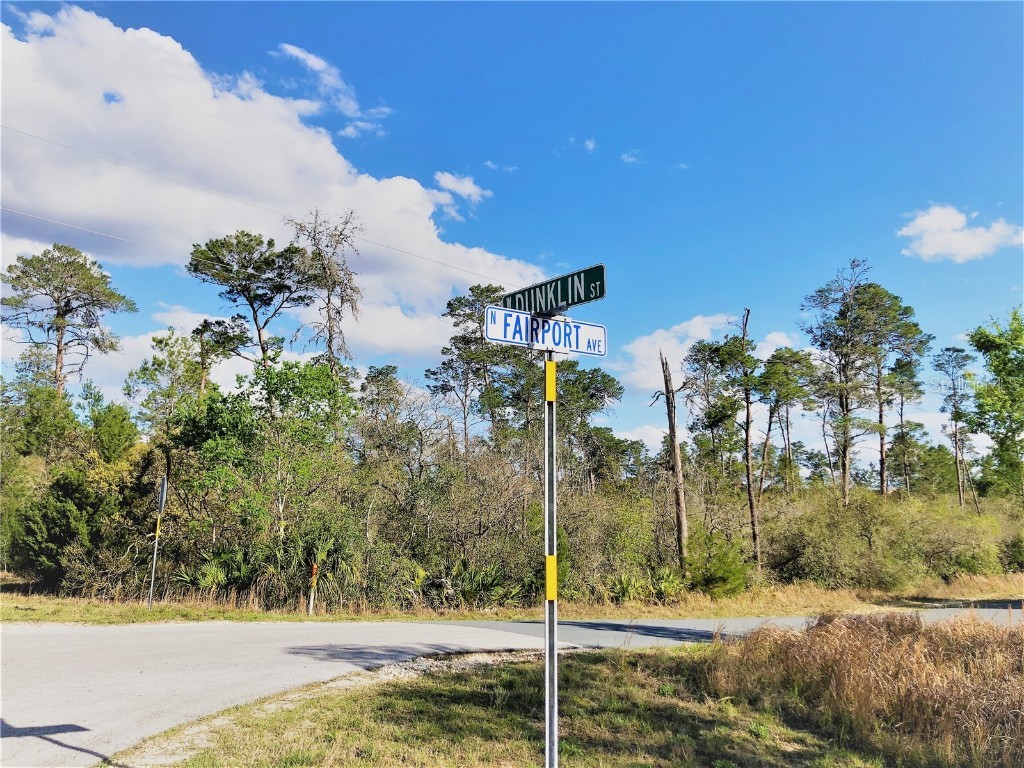 8076 N Fairport Avenue Dunnellon FL 34433 OM635935 image1