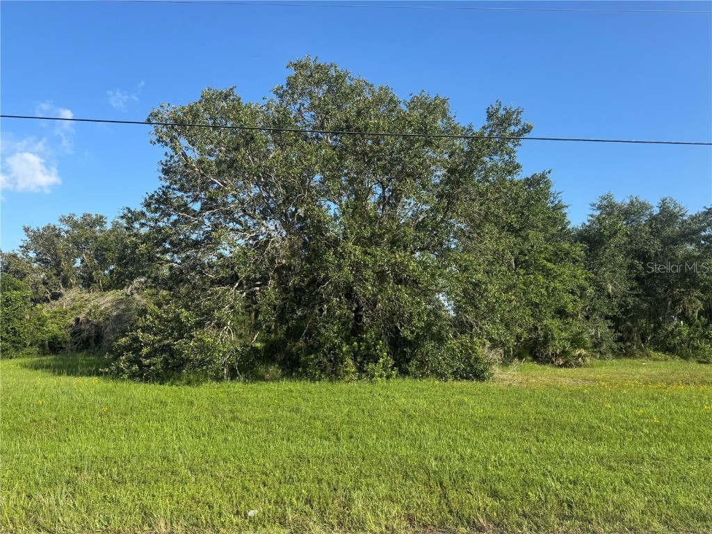 8076 SW Liverpool Road Arcadia FL 34269 C7511846 image1